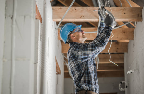 Best Affordable Electrician  in Newark, IL