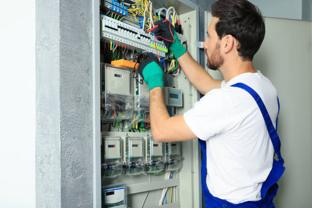 Best Electric Panel Repair  in Newark, IL