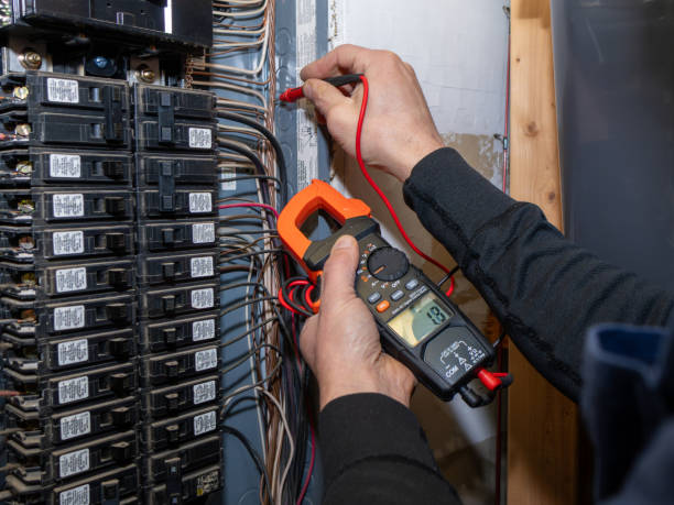 Best Home Electrical Repair  in Newark, IL