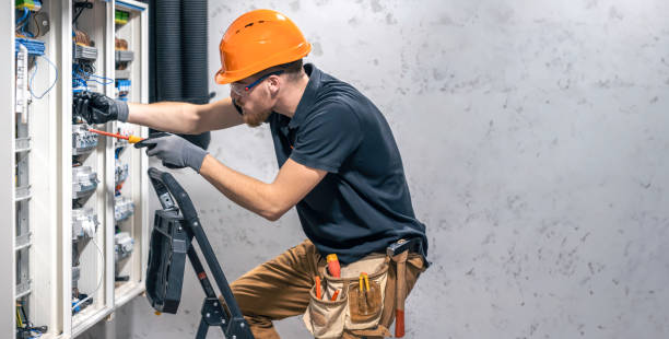 Best Electrical Upgrades for Homes  in Newark, IL